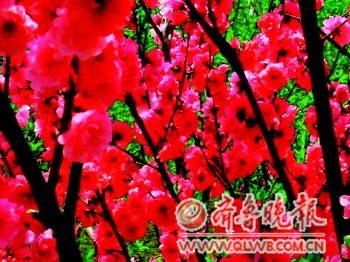 Ļ_(ki)M(mn)@(YƬ)