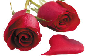 ����̼Ҹ���������(j��ng)��(j��)��