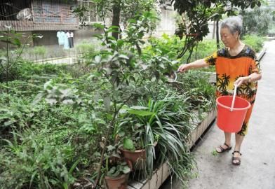 627ͬƘM8̖ԺSڽoԺֲˮ