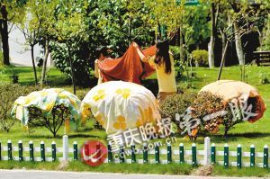 �G���������������ؓ������ѽ��