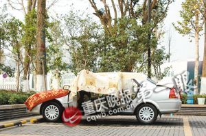 �_��˽��܇�҂�ͣ܇λ�������o�ε����A��