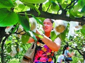 �������·�(gu��)��(qi��ng)�ҵ���@ժ�����ؑc����(b��o)�����x��ӛ��