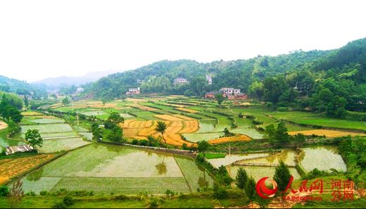 ���(y��ng)�̳ǣ�����ɽ�l(xi��ng)�L(zh��ng)��@ ���ˮ��(r��n)�Ҹ��}(c��ng)